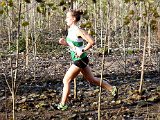 2019-11-24 Cross Diomedon - 233